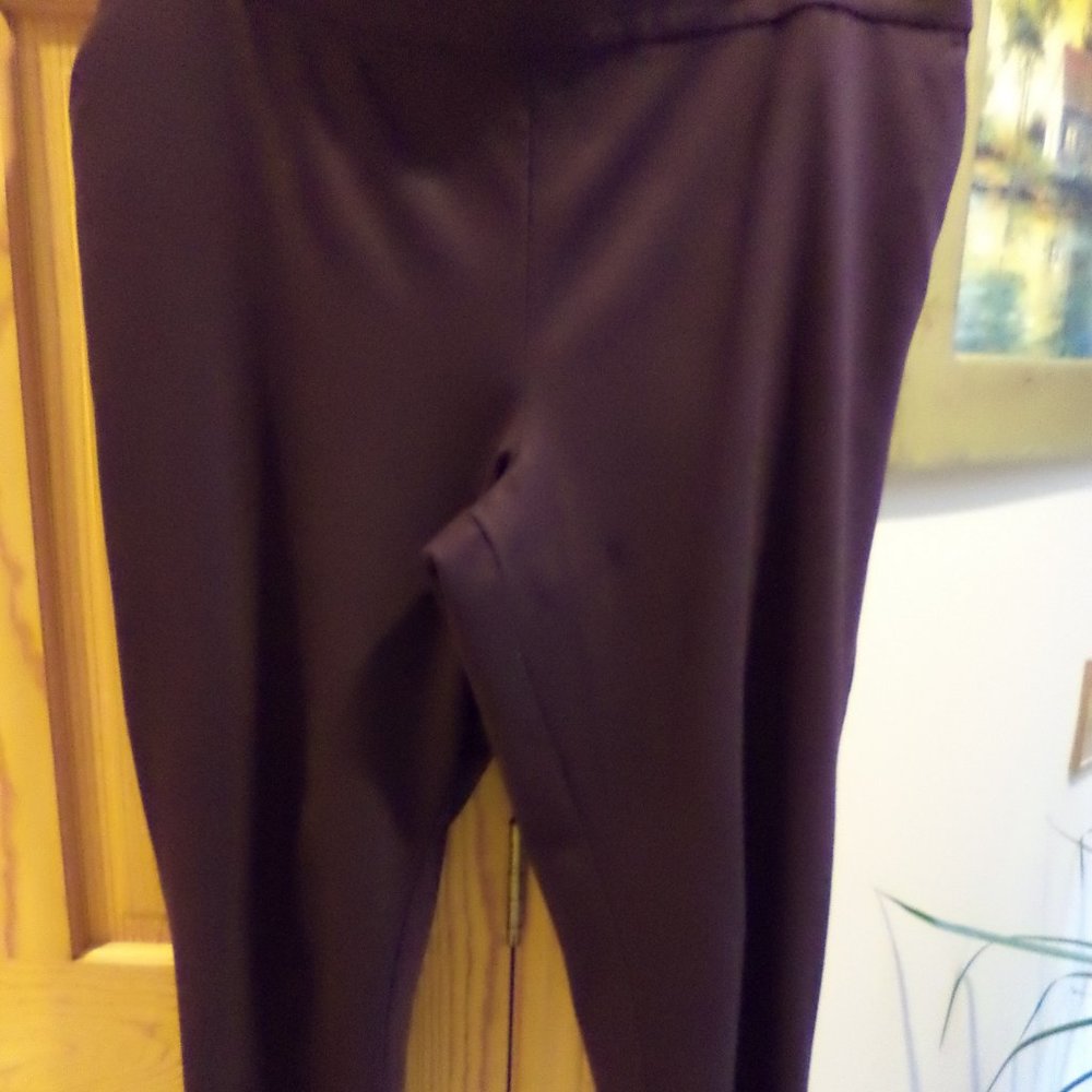 Worthington Ultra Stretch Pants ~ Purple ~ Size: 1X